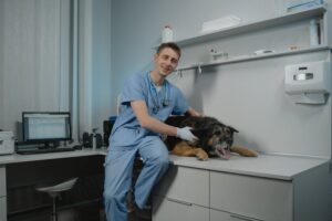 Maryland Veterinary Clinics