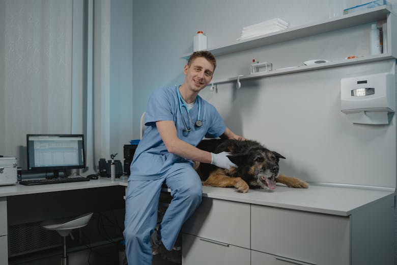 Maryland Veterinary Clinics